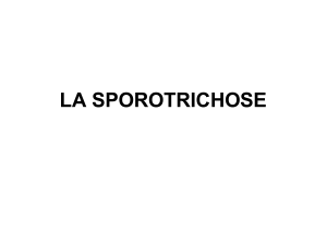 Sporotrichose: Définition, Clinique, Diagnostic et Traitement