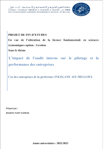 Impact de l'audit interne sur la performance : Thèse
