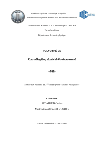 HSE AAOURIDA - Copie