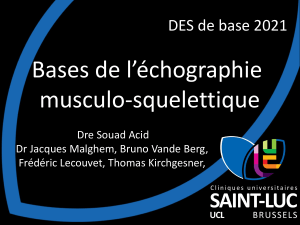Bases de l'&eacute;chographie musculo-squelettique : Une pr&eacute;sentation