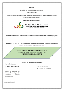 Taxe &eacute;cologique et environnement en Afrique : M&eacute;moire de Master