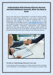 Mold Damage Attorney & Settlement Amounts: What You Need to Know