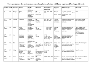 Correspondances des chakras avec les notes, pierres, plantes