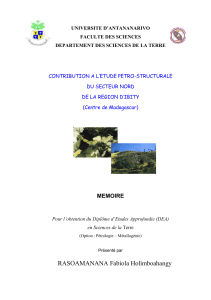 Étude Pétro-Structurale Région Ibity: Géologie Madagascar