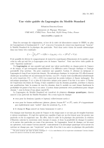 Lagrangien du Modèle Standard: Visite Guidée