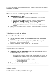 Alibaba au Congo : Guide d'importation et vente