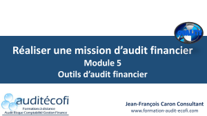 Module 5 : Outils d'audit financier - R&eacute;aliser une mission d'audit