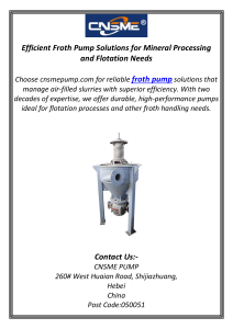 Efficient Froth Pump Solutions for Mineral Processing and Flotation Needs