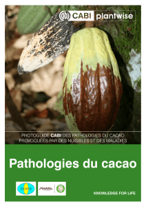 Photoguide CABI : Pathologies du cacao (nuisibles et maladies)