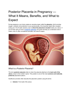 Posterior Placenta in Pregnancy: Meaning, Benefits, & What to Expect