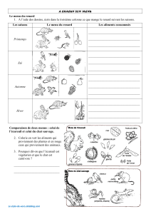 Le menu du renard : Fiche d'activités sur l'alimentation