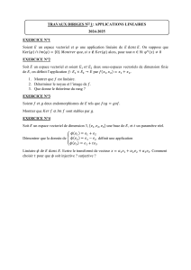 Exercices d'algèbre linéaire : Applications, Matrices, Déterminants