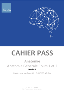 Anatomie Générale PASS : Cours 1 et 2