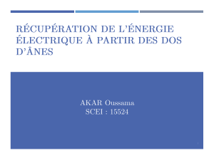 Récupération d'énergie : Dos d'ânes
