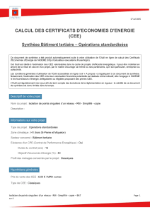 Isolation de points singuliers d’un réseau CEE