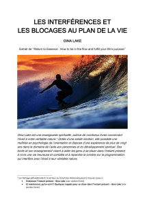 Interf&eacute;rences et blocages au plan de la vie - Gina Lake