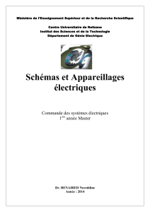 Schémas et Appareillages électriques - Cours Master