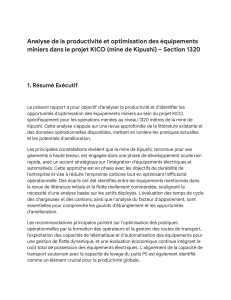 Analyse de productivité et optimisation Mine Kipushi