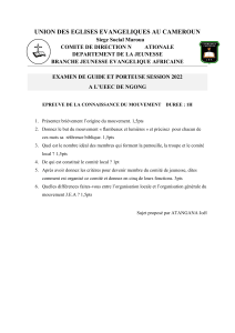 Examen JEA : Connaissance du mouvement Flambeaux et Lumières