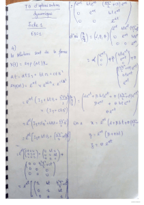 Exercice TD Optimisation Dynamique : Résolution d'Équations