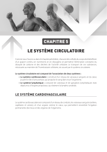 Syst&egrave;me Circulatoire: Anatomie et Physiologie