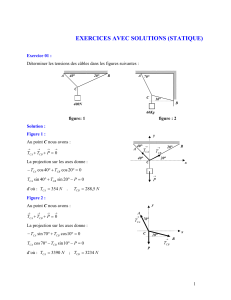 EXERCICES AVEC SOLUTION STATIQUE 