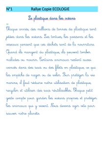 mon rallye écologie