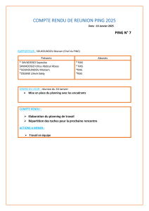 Compte Rendu1
