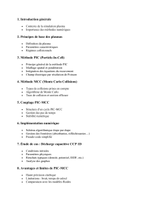 Simulation Plasma PIC-MCC : Plan de Cours