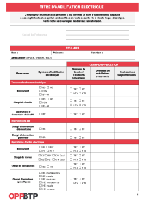 Formulaire d'Habilitation Électrique : Sécurité et Conformité