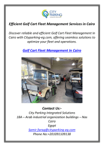Efficient Golf Cart Fleet Management Services in Cairo