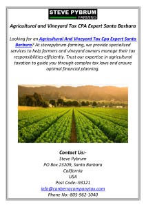 Agricultural and Vineyard Tax CPA Expert Santa Barbara