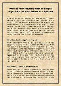Protect Your Property with the Right Legal Help for Mold Issues in California