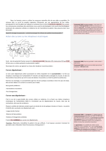 Grand Oral SVT : l'anesthésie