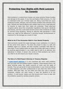 Protecting Your Rights with Mold Lawyers for Tenants