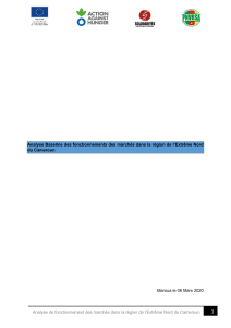 Analyse Baseline March&eacute;s Extr&ecirc;me Nord Cameroun 2020