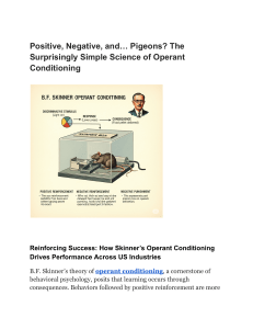 Positive, Negative, and… Pigeons  The Surprisingly Simple Science of Operant Conditioning