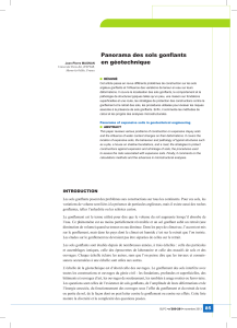 Sols gonflants en g&eacute;otechnique : une revue