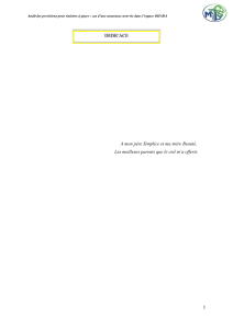 Audit des provisions pour sinistres &agrave; payer: Assurance OHADA