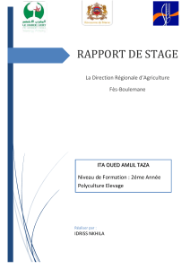 Rapport de Stage: Agriculture F&egrave;s-Boulemane