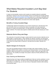 Recycled Insulated Lunch Bags: Eco-Friendly Student Choice