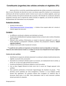 Constituants cellulaires : Activité de synthèse et vidéo