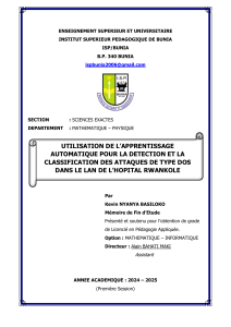 D&eacute;tection d'attaques DoS par IA : M&eacute;moire de fin d'&eacute;tude