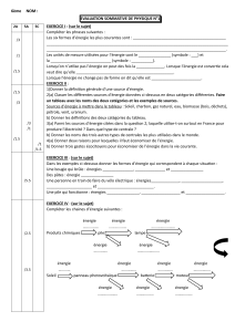 Évaluation de Physique 6ème: Énergie et Sources d'Énergie