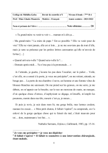 Devoir de contrôle Français 7ème : Texte Sarraute