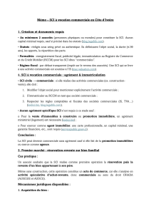 SCI Commerciale en Côte d'Ivoire : Création et Fonctionnement