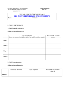 TP Histologie: Tissus Épithéliaux et Conjonctifs