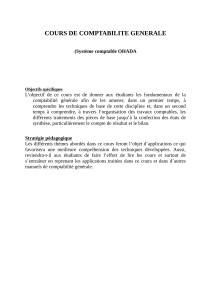 Cours de Comptabilité Générale OHADA : Fondamentaux et Applications