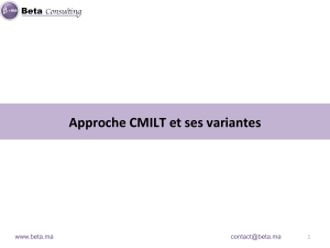 CMILT : Approches et Modèles de Coûts Télécom