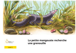 La Petite Mangouste: Frog Search - Children's Story